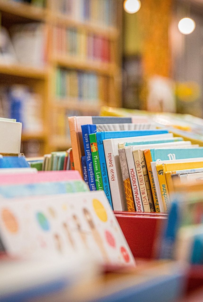 Curriculum